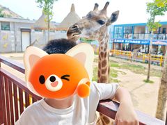 -西霞口神雕山野生动物世界