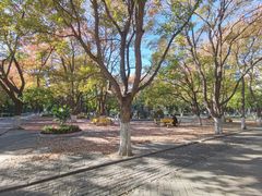 -山东大学(趵突泉校区)