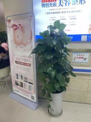 -成都军建医院·疤痕诊疗中心