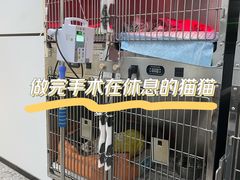 -萌兽医馆·绝育·24小时内科·宠物医院(德胜店)