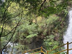 -马峦山郊野公园