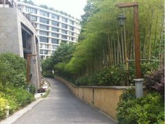 iphone_upload_pic-天目湖涵田度假村