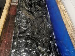 -活鱼馆(宜兴埠店)