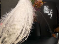 -滇野云南野生菌餐厅
