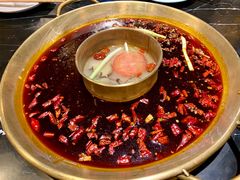 -杨家火锅(国美店)