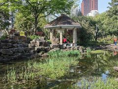 -苏州河梦清园环保主题公园