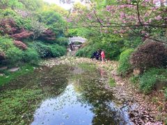 -杭州半山国家森林公园