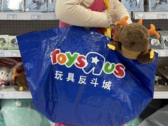 -TOYSRUS玩具反斗城(正大广场店)