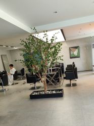 -付军剪艺JF ProSalon