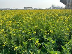 -中国天府农业博览园