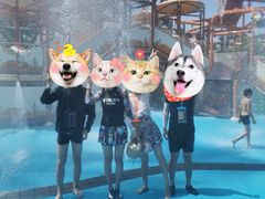 -鼎龙湾德萨斯水世界