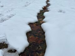 -钟山体育运动公园