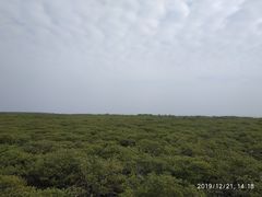 -北海金海湾红树林生态旅游区