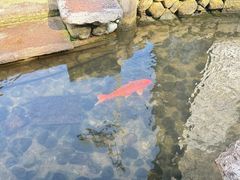-前童古镇