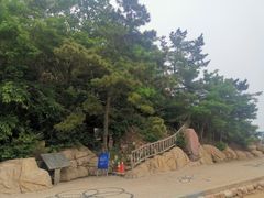 -棒棰岛宾馆景区