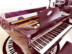 -梅纳·钢琴声乐架子鼓Mena Music(双井店)