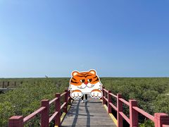 -北海金海湾红树林生态旅游区
