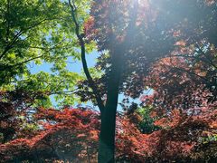 -长广溪湿地公园