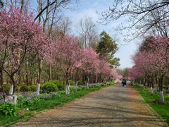 -上海海湾国家森林公园