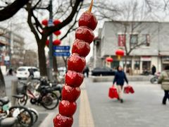 -和禄德冰糖葫芦