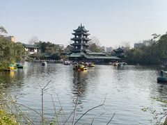 -桂湖森林公园