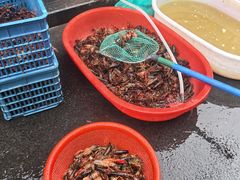 -三好倪氏龙虾(日规路店)