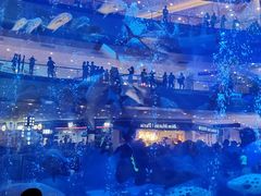 -成都浩海立方海洋公园