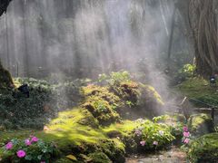 -Chom Cafe and Restaurant