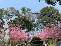 -南山植物园
