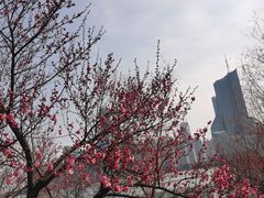 -天鹅湖体育公园