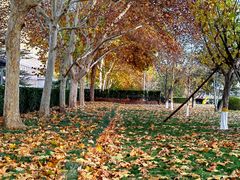 -南礼士路(地铁站)