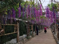 -呀路古热带植物园