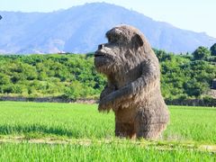 -福建土楼（华安）旅游区•大地土楼群