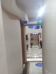 -碧莲盛·不剃发植发