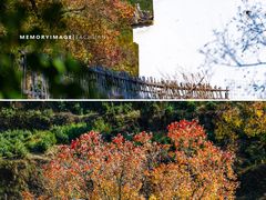 -塔川景区