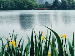 -美兰湖景区