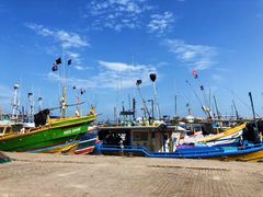 -尼甘布海鲜市场