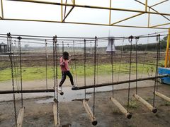 -武汉紫薇都市田园