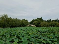 -桥香园云南过桥米线(金马碧鸡店)