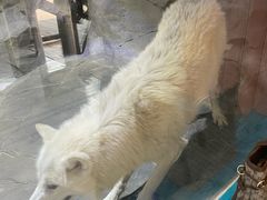 -海合安成都极地海洋公园