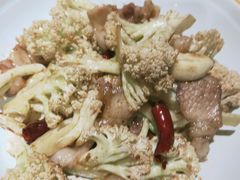-九毛九西北菜(大东海店)