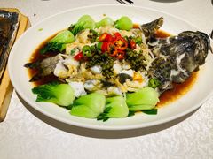 -维园悦谱·海派家常菜(乌鲁木齐南路店)