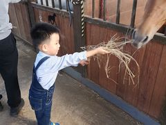 -象山森林公园