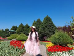 -石家庄市植物园
