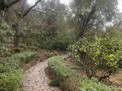 -伍山石窟