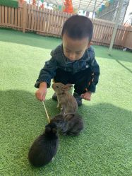 -萌宠亲子动物乐园(槐房万达店)