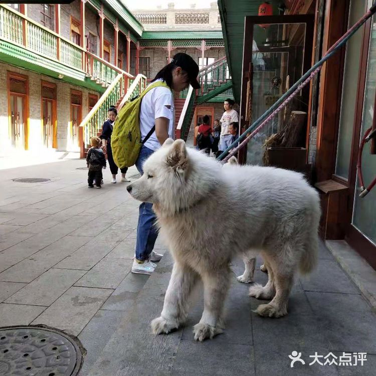 哈尔滨必打卡攻略之中华巴洛克风情街