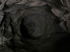 -上海佘山国家森林公园天马山园