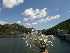 -云岫谷自然风景区