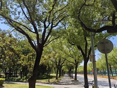-上海大学(宝山校区)